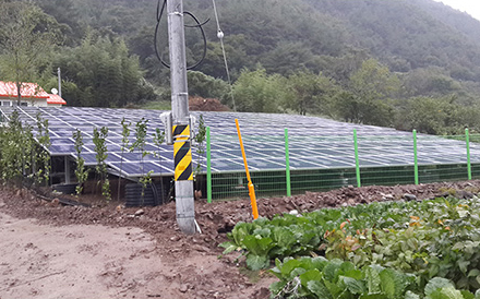 지혜, 자비 태양광발전소 설치공사 (59.5kW)