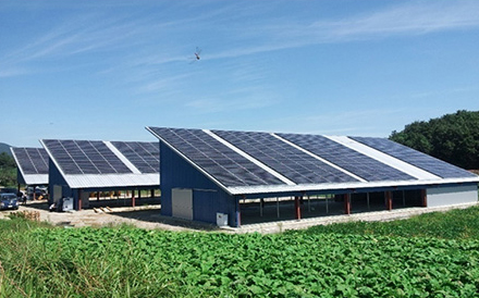 버섯재배사 태양광발전소 설치공사(200kW)